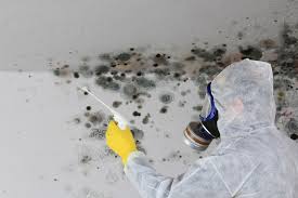 Best Environmental Consulting for Mold Prevention in Dayton, TX